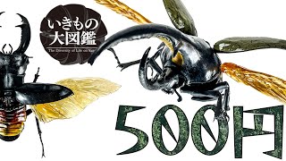 【いきもの大図鑑】１回５００円の高クオリティガチャにカブトムシとクワガタ登場！