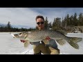 PIKE ARE HUNGRY - Extreme Late Ice Mission (first open water)