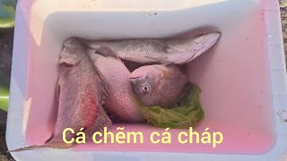 Chiến đi câu đêm đầu tiên từ khi lập kênh đến nay