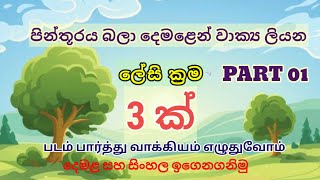 පින්තූරය බලා වාක්‍ය දෙමළෙන් ලියමු | படம் பார்த்து வாக்கியம் எழுதுவோம்| picture ddescription in tamil