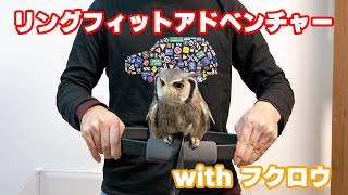 リングフィットアドベンチャーのフィットスキルを紹介【withフクロウ】