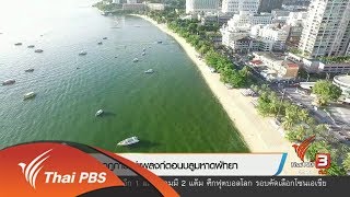 ปรากฏการณ์แพลงก์ตอนบลูมหาดพัทยา (14 มิ.ย. 60)