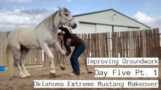 Improving Groundwork w/a Wild Mustang | Day Five Pt.1 OK EMM