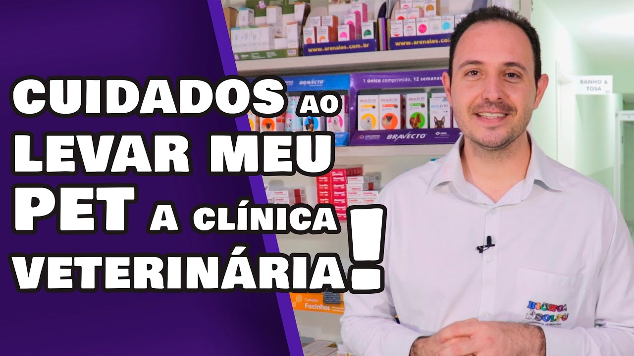 SAIBA OS CUIDADOS AO LEVAR SEU PET A CLÍNICA VETERINÁRIA! - YouTube