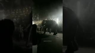 തോട്ടക്കാട് വിനായകൻ🐘❤️വെള്ളിനേഴി കണ്ണൻ❤️🔥