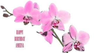 Ameena   Flowers \u0026 Flores - Happy Birthday