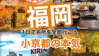 【大人の国内旅行】秋の福岡観光！年齢性別関係なく楽しめる朝倉市　人気の紅葉とおすすめグルメと旅行プラン　九州ドライブ旅12 Japan travel