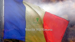 Relaxing Music | Beautiful Wild Romania | Piano and Flute
