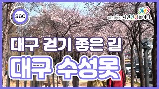 [VR 산책] 대구 걷기 좋은 길, 대구 수성못에서 산책해요!