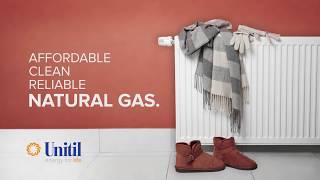 The Low Cost of Natural Gas