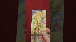 ด้ายแดงของคุณจะได้ผูกไว้กับใคร #trending #tarot #ดูดวง #ดูดวงความรัก #ดูไพ่ยิปซี