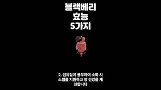 블랙베리 효능 5가지