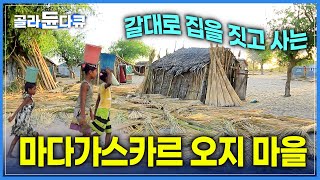 태초의 자연을 간직한 지상 낙원 마다가스카르! | 갈대로 집을 짓고 사는 소수 민족을 찾아서 | 행복한 아이들 | 세계테마기행 | #골라듄다큐