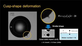 Particle ejection by a laser-induced bubble