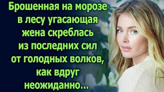 Брошенная на морозе в лесу угасающая жена скреблась из последних сил, как вдруг неожиданно