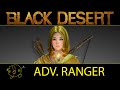 [Black Desert Online] Guide: Advanced Ranger