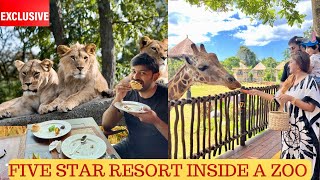 Ba Ep09| Living Inside The Most Luxurious Zoo In The World | Mara Jungle Safari Lodge