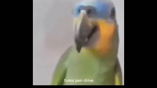 ATUALIZAÇÃO DA LISTA MAIS GAY 2.0, DO PLANETA TERRA (PAPAGAIO) 🦜