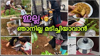 മടിച്ചിയായ എന്നെ ഞാൻ മാറ്റിയെടുത്തത് ഇങ്ങനെ /അരിപ്പൊടികൊണ്ട് പെർഫെക്റ്റ് കലത്തപ്പം /day in my life