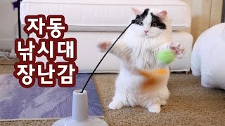 고양이 자동 낚시대 장난감 Cat Motion Toy