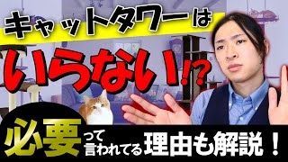 【キャットタワーって必要？】猫の種類や性格に合ったキャットタワーの選び方を現役猫ブリーダーがご紹介！おすすめキャットタワーも解説！