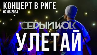 СЕРЫЙWOLK - Улетай | Live 2024