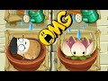 All Animation Instant-Use Plants In Zen Garden - Plants Vs Zombies 2