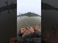 饵直接丢到鱼嘴里了 fishing lure 钓鱼