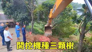 東家叫了五台挖機種樹沒人來，陳師傅本想賺個油錢，沒想到被上了一課！【陈师傅开挖机】