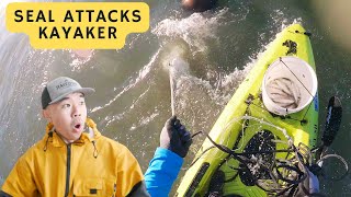 SEAL ATTACKS KAYAKER | Herring Spawn Jan 2025 Report