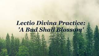 Lectio Divina Practice — 'A Bud Shall Blossom'