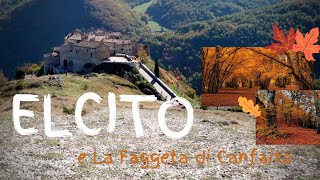 ELCITO e la faggeta di Canfaito | 20.000 euro di multe in un giorno