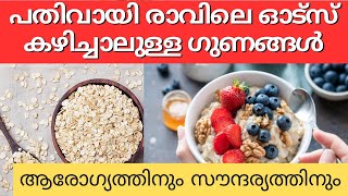 പതിവായി രാവിലെ ഓട്സ് കഴിച്ചാലുള്ള ഗുണങ്ങൾ/Oats benefits