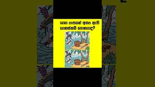 මෙම රූපයන් දෙක තුල ඇති වෙනස්කම් මොනවාද? 🕵🏻️#trending #viral #short