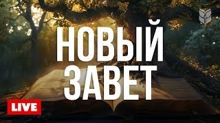 🔴 Новый Завет для всех | Современный перевод Библии 24/7