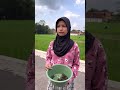 TUTUT REVI DI BUANG SINTA😬😥🙈 #funny #viral #humor #trending #shorts