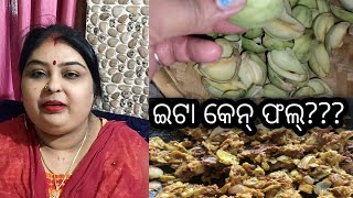 Vlog417 👉ଦେଶୀ ଫଳ (ଟୋଲ୍) ର ଭଜା 👌👌ବହୁତ୍ ଟେଷ୍ଟୀ ଲାଗସି 👍କିଏ କିଏ ଖାଇଛ?? ଛୋଟୁ କେନ୍ ମେକାନିକ କାମ କରୁଛେ??