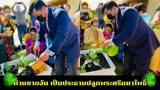 ท่านชายวัชเรศร วิวัชรวงศ์ (ท่านอ้น) ร่วมเป็นประธานปลูกพระศรีมหาโพธิ์ วัดไทยสุชาดาธรรมจาริกสังฆวิหาร