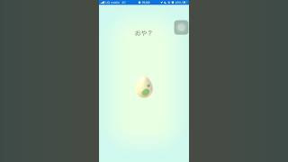 ポケモンGO 2kmたまご何でるかな？　#ポケモンgo #shorts #short