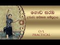 Goda Saramba (ගොඩ සරඹ) 1 - 12 - [Dancing Lesson E05] - Sandarashmi Naveesha