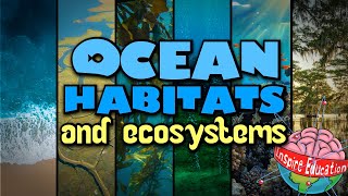 Ocean Habitats & Ecosystems