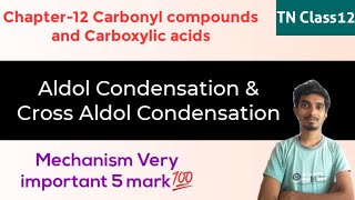 Aldol Condensation with Mechanism|Cross Aldol Condensation|Very important 5 mark|TN Class12