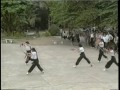 竹溪太極螳螂門之子午剑 cktcpm zi wu jian sword form