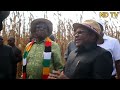 president emmerson mnangagwa owns rare and expensive ankole cattle breed at his kwekwe farm