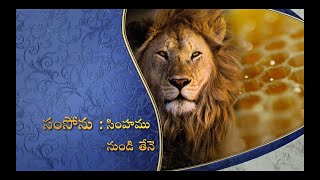 Samson, Part. 1 - Honey from a Lion by Pastor Doug Batchelor in  Telugu