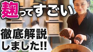 【どの麹菌を使えばいいの？】甘酒・塩麹・味噌作りに適した種麹・麹の種類や違いについてマニアックに解説！