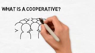 What is a cooperative?