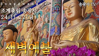 송광사 새벽예불 24.11.22