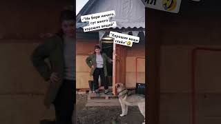 Хорошие вещи?🤣Подписывайся каждый день новое видео #рекомендации #юмор #humor #подпишись #funny #топ