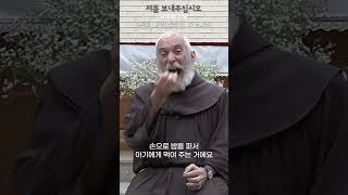 가톨릭 숏츠 ㅣ 저를 보내주십시오 ㅣ 유의배 신부